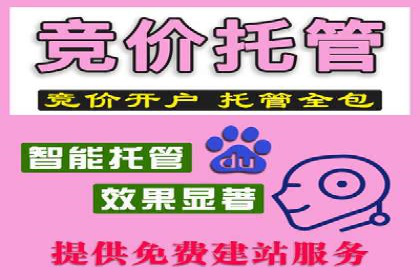 行业领先！专业SEM托管的成功实践案例